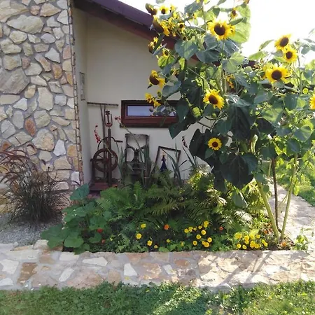 Tatil Evi Czytelnia W Sadzie Krzykawka