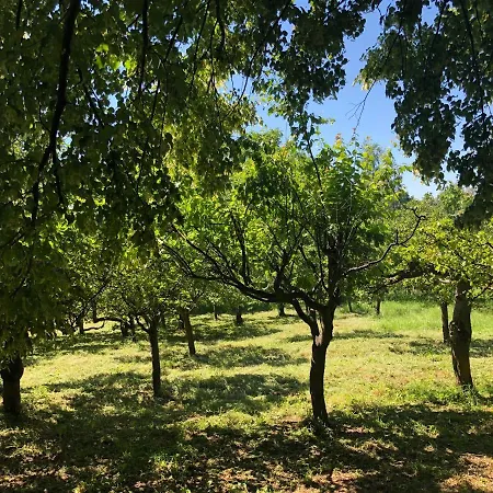 Tatil Evi Czytelnia W Sadzie