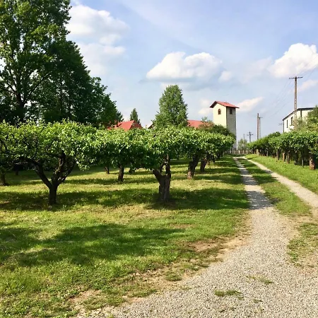 Czytelnia W Sadzie Ferienhaus *